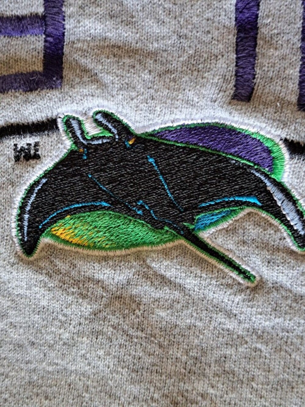 Vtg Tampa Bay Devil Rays 1998 Inaugural Season Gray Sweatshirt Embroidered S - Picture 2 of 11